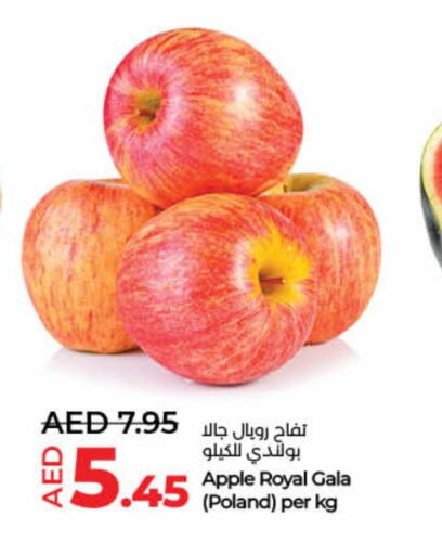 Apples from Poland available at Lulu Hypermarket in UAE - Fujairah