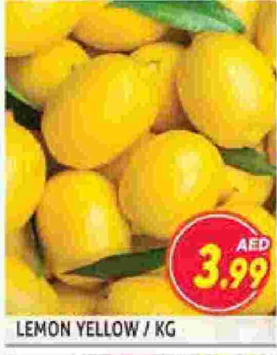 Lemon available at مركز النخيل هايبرماركت in الإمارات العربية المتحدة , الامارات - الشارقة / عجمان