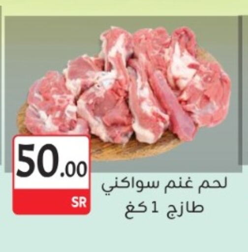 available at مخازن م.بدرالدين in مملكة العربية السعودية, السعودية, سعودية - المدينة المنورة