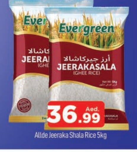 ALLDE Jeerakasala Rice available at AL MADINA (Dubai) in UAE - Dubai