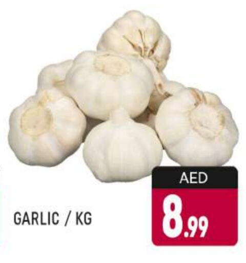 Garlic available at AL MADINA (Dubai) in UAE - Dubai