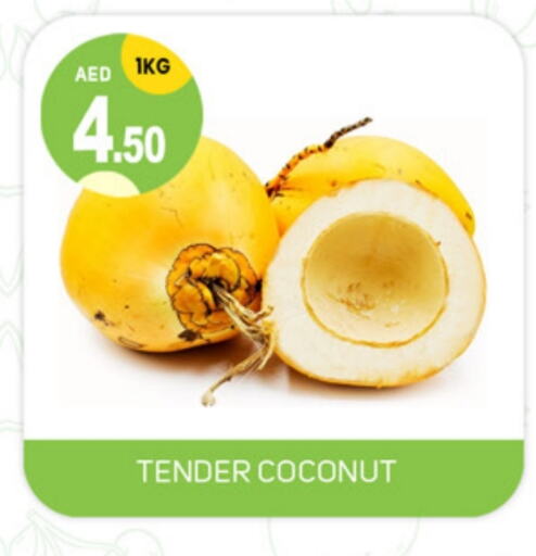 Coconut available at سوق طلال in الإمارات العربية المتحدة , الامارات - الشارقة / عجمان