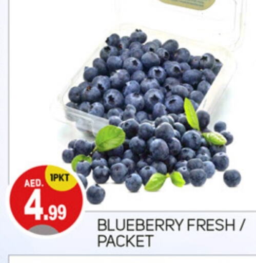 Blueberry BlueBerry available at سوق طلال in الإمارات العربية المتحدة , الامارات - دبي