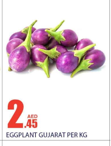 Eggplant available at بسمي بالجملة in الإمارات العربية المتحدة , الامارات - دبي