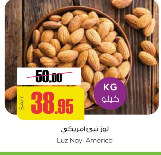 available at سبت in مملكة العربية السعودية, السعودية, سعودية - بريدة