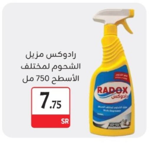 General Cleaner available at M B S S in KSA, Saudi Arabia, Saudi - Medina