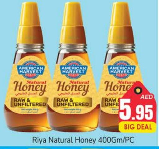 AMERICAN HARVEST Honey available at PASONS GROUP in UAE - Dubai