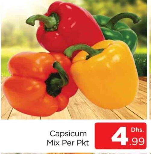 Chilli / Capsicum available at AL MADINA (Dubai) in UAE - Dubai