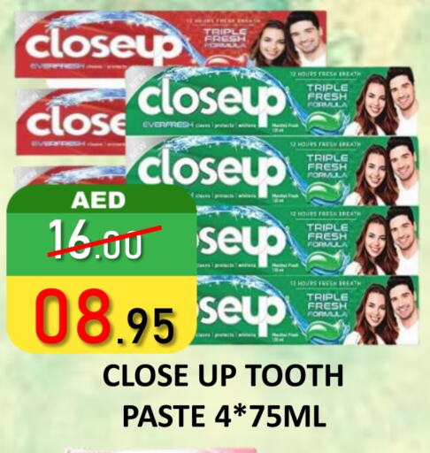 CLOSE UP Toothpaste available at ROYAL GULF HYPERMARKET LLC in UAE - Abu Dhabi