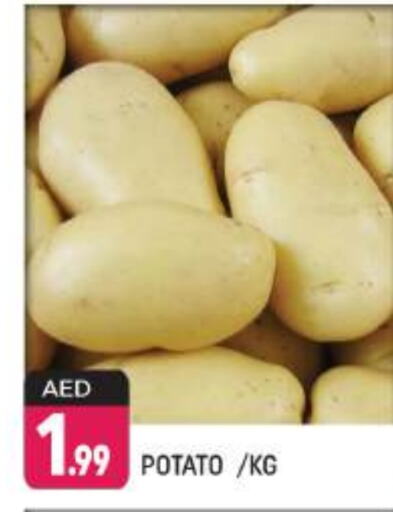 Potato available at Shaklan  in UAE - Dubai