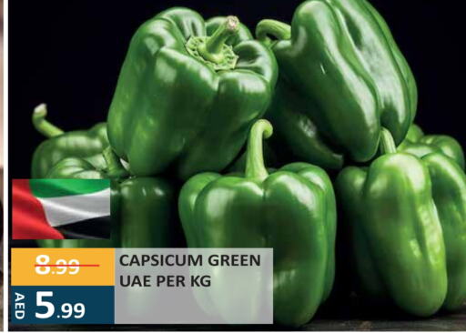 Chilli / Capsicum available at Enrich Hypermarket in UAE - Abu Dhabi