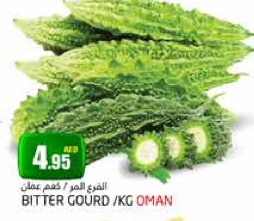 قرع from Oman available at مجموعة باسونس in الإمارات العربية المتحدة , الامارات - دبي