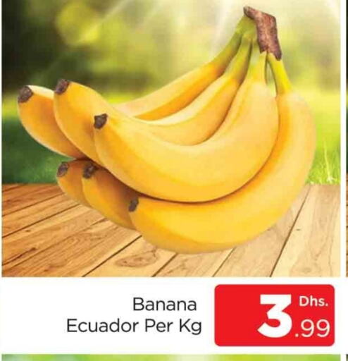 Banana from Ecuador available at AL MADINA (Dubai) in UAE - Dubai