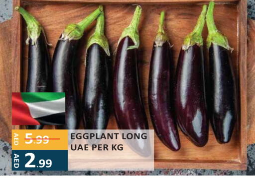 Eggplant available at إنريتش سوبرماركت in الإمارات العربية المتحدة , الامارات - أبو ظبي