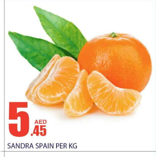 from Spain available at Bismi Wholesale in UAE - Fujairah