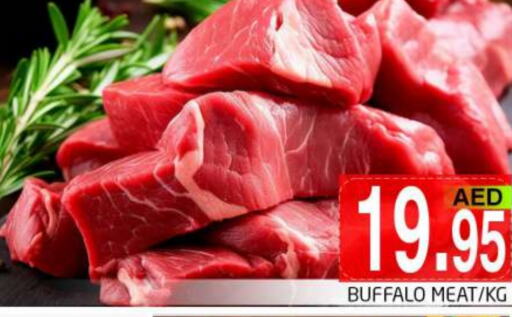 Buffalo available at PASONS GROUP in UAE - Dubai