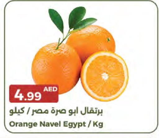 برتقال from Egypt available at جمعية الامارات التعاونية in الإمارات العربية المتحدة , الامارات - دبي