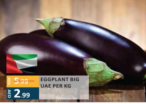 Eggplant available at إنريتش سوبرماركت in الإمارات العربية المتحدة , الامارات - أبو ظبي