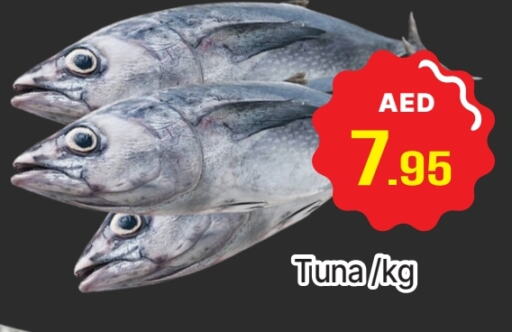 Tuna available at AL MADINA (Dubai) in UAE - Dubai