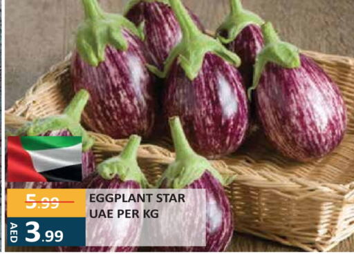 Eggplant available at إنريتش سوبرماركت in الإمارات العربية المتحدة , الامارات - أبو ظبي