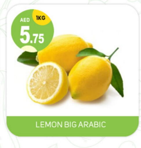 Lemon available at سوق طلال in الإمارات العربية المتحدة , الامارات - الشارقة / عجمان