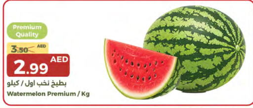 Watermelon available at Emirates Co-Operative Society in UAE - Dubai