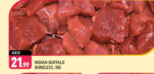 Buffalo available at Shaklan  in UAE - Dubai