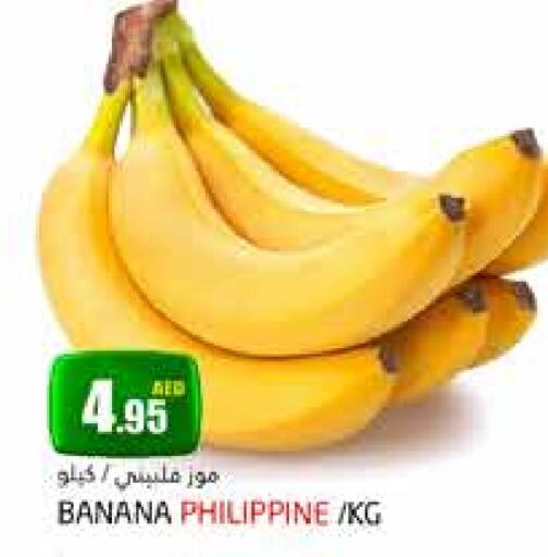 موز from Philippines available at مجموعة باسونس in الإمارات العربية المتحدة , الامارات - دبي