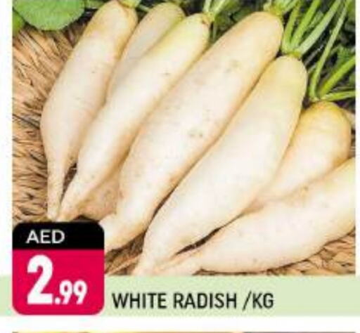 Radish available at Shaklan  in UAE - Dubai