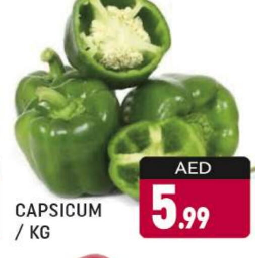 Chilli / Capsicum available at AL MADINA (Dubai) in UAE - Dubai