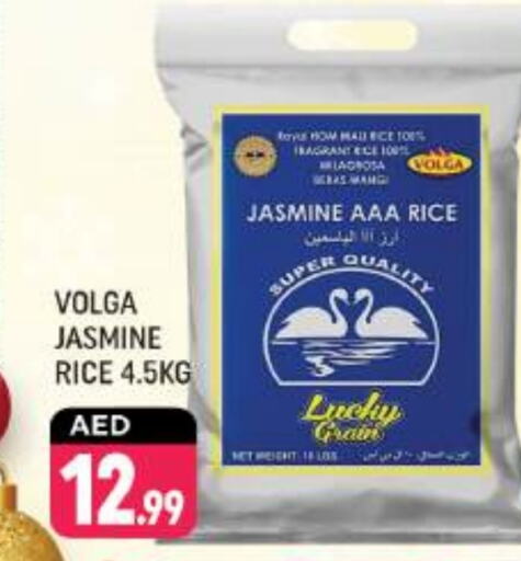 VOLGA Jasmine Rice available at Shaklan  in UAE - Dubai