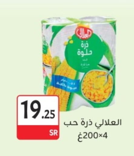 AL ALALI available at M B S S in KSA, Saudi Arabia, Saudi - Medina