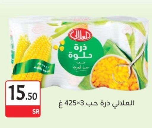 AL ALALI available at M B S S in KSA, Saudi Arabia, Saudi - Medina