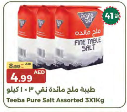 Salt available at Emirates Co-Operative Society in UAE - Dubai