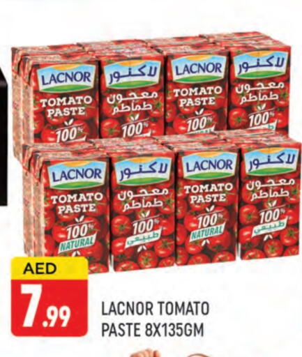 معجون طماطم available at المدينة in الإمارات العربية المتحدة , الامارات - دبي