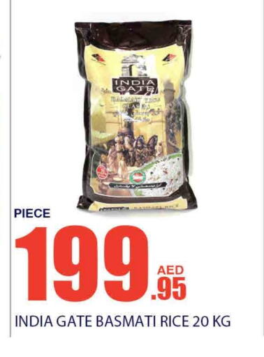 INDIA GATE Basmati / Biryani Rice available at Bismi Wholesale in UAE - Dubai