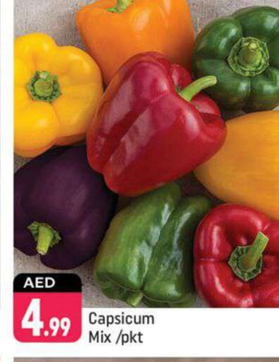 Chilli / Capsicum available at Shaklan  in UAE - Dubai