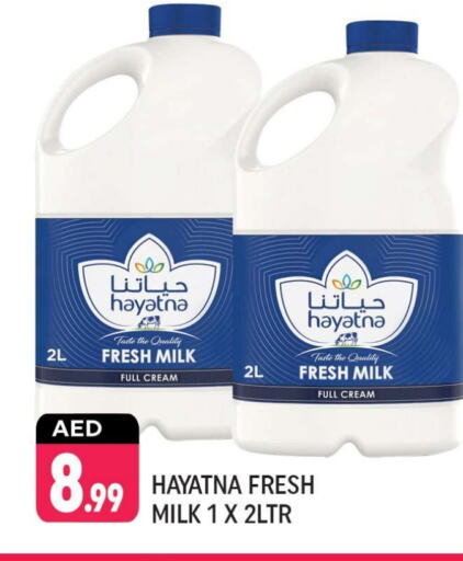 HAYATNA Fresh Milk available at Shaklan  in UAE - Dubai