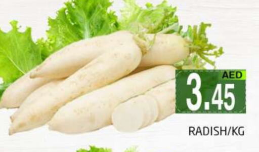 Radish available at PASONS GROUP in UAE - Dubai