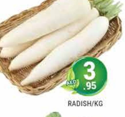 Radish available at PASONS GROUP in UAE - Dubai