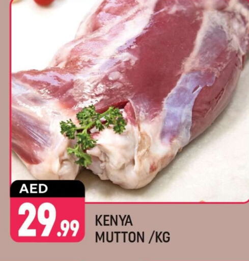 Mutton / Lamb available at Shaklan  in UAE - Dubai