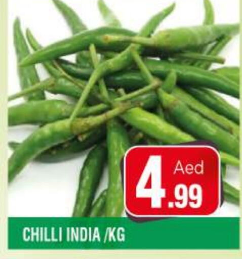 Chilli / Capsicum from India available at Ain Al Madina Hypermarket in UAE - Sharjah / Ajman