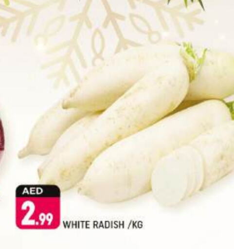 Radish available at Shaklan  in UAE - Dubai