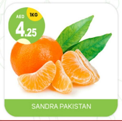 from Pakistan available at سوق طلال in الإمارات العربية المتحدة , الامارات - الشارقة / عجمان