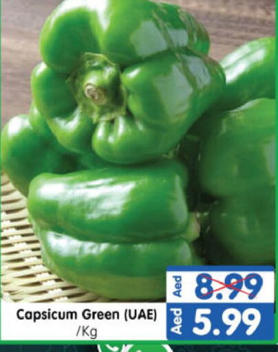 Chilli / Capsicum available at Al Madina Hypermarket in UAE - Abu Dhabi