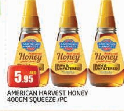 AMERICAN HARVEST Honey available at PASONS GROUP in UAE - Dubai