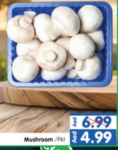 Mushroom available at هايبر ماركت المدينة in الإمارات العربية المتحدة , الامارات - أبو ظبي