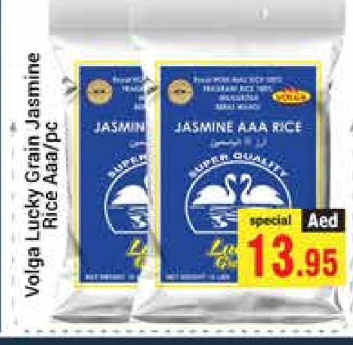 VOLGA Jasmine Rice available at PASONS GROUP in UAE - Dubai