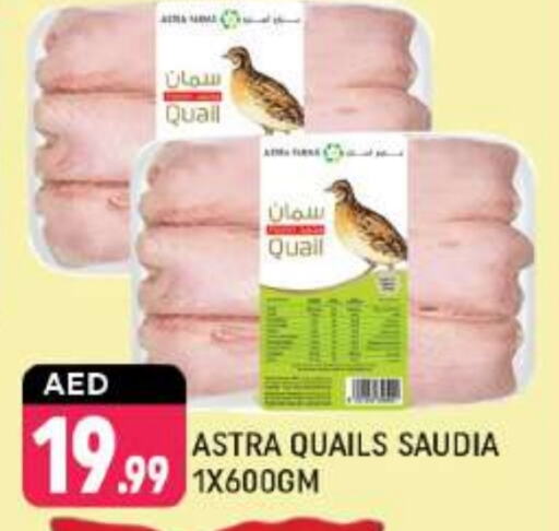 available at Shaklan  in UAE - Dubai