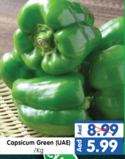 Chilli / Capsicum available at Al Madina Hypermarket in UAE - Abu Dhabi